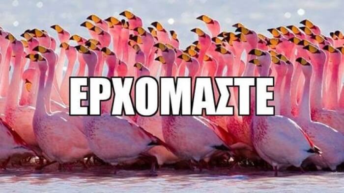 Πάλι εσείς!