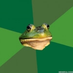 Foul Bachelor Frog