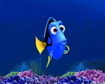 Forgetful Fish Dory