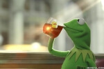 Kermit The Frog
