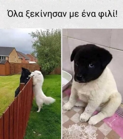 Πσυχούλα μου