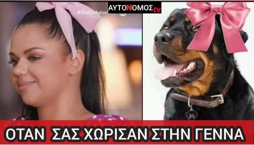 bachelor οικογενειακές ιστορίες