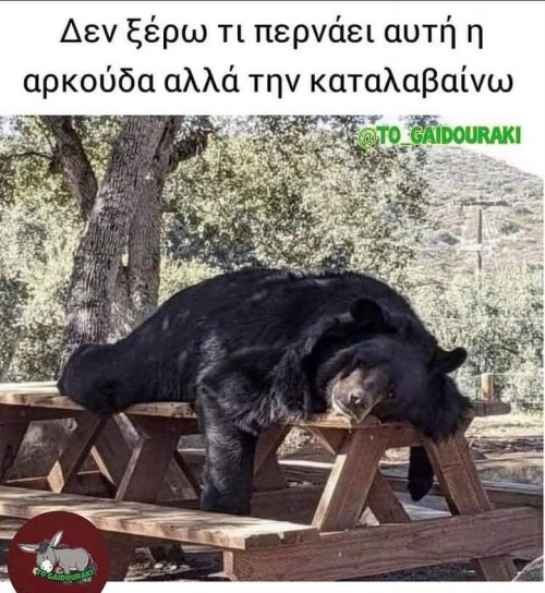 Ήταν να πέσει σε χειμερία νάρκη, αλλά μετά το 