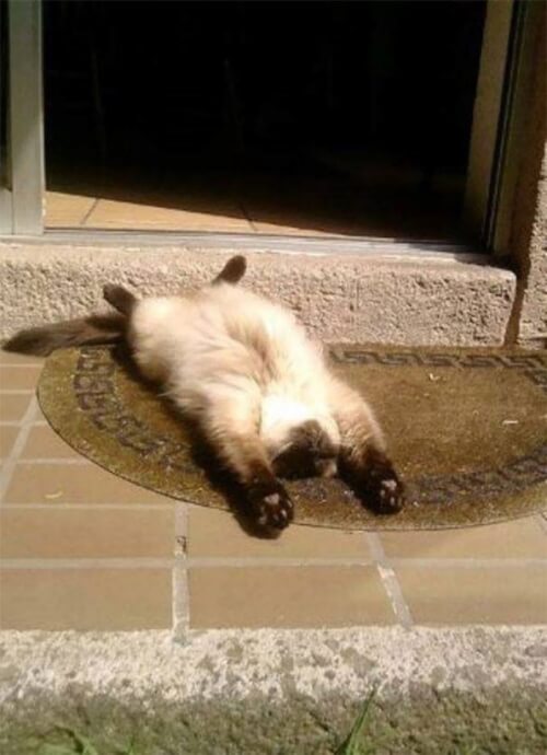 Mood τσίκνας