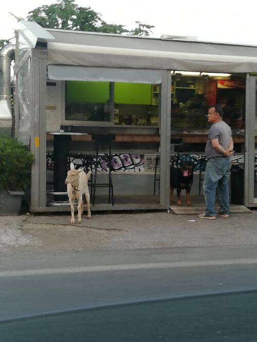 Οταν το έχεις σκάσει και έχεις βρεθεί στη Κηφισιά 