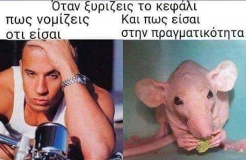 Οι διαφορές