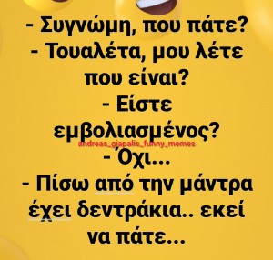 τουαλέτα 