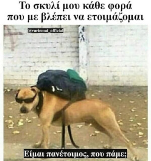 Μπαγασάκο!