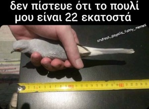 22 εκ...