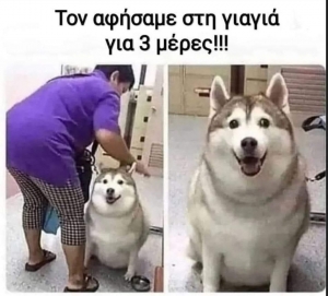 Όλοι το ξέρουν 