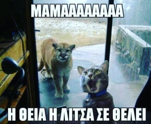 Η θεία η Λίτσα 