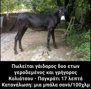 Σκέψου έξυπνα 