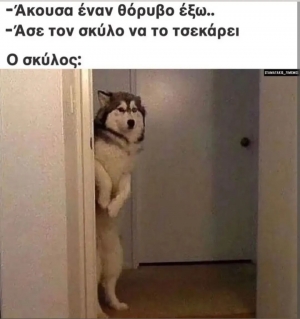 Αυτό ακριβώς 