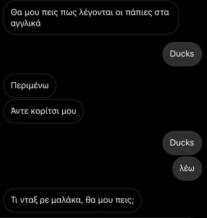 Ducks;;