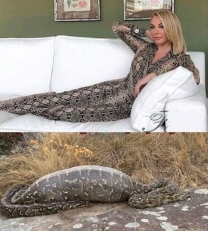 🐍 είσαι 