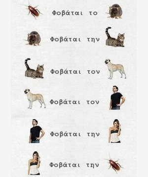 Ο κύκλος της ζωής 