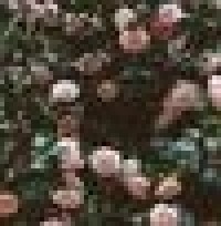 iwannakarapliafi14gr 